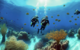 Via Exp Online